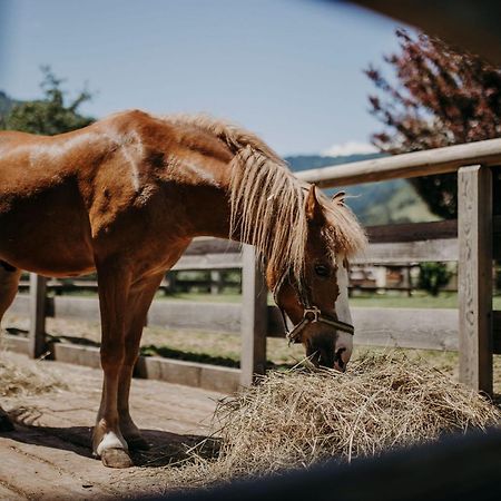 Chalet Lerch ザンクト・ヨーハン・イム・ポンガウ エクステリア 写真